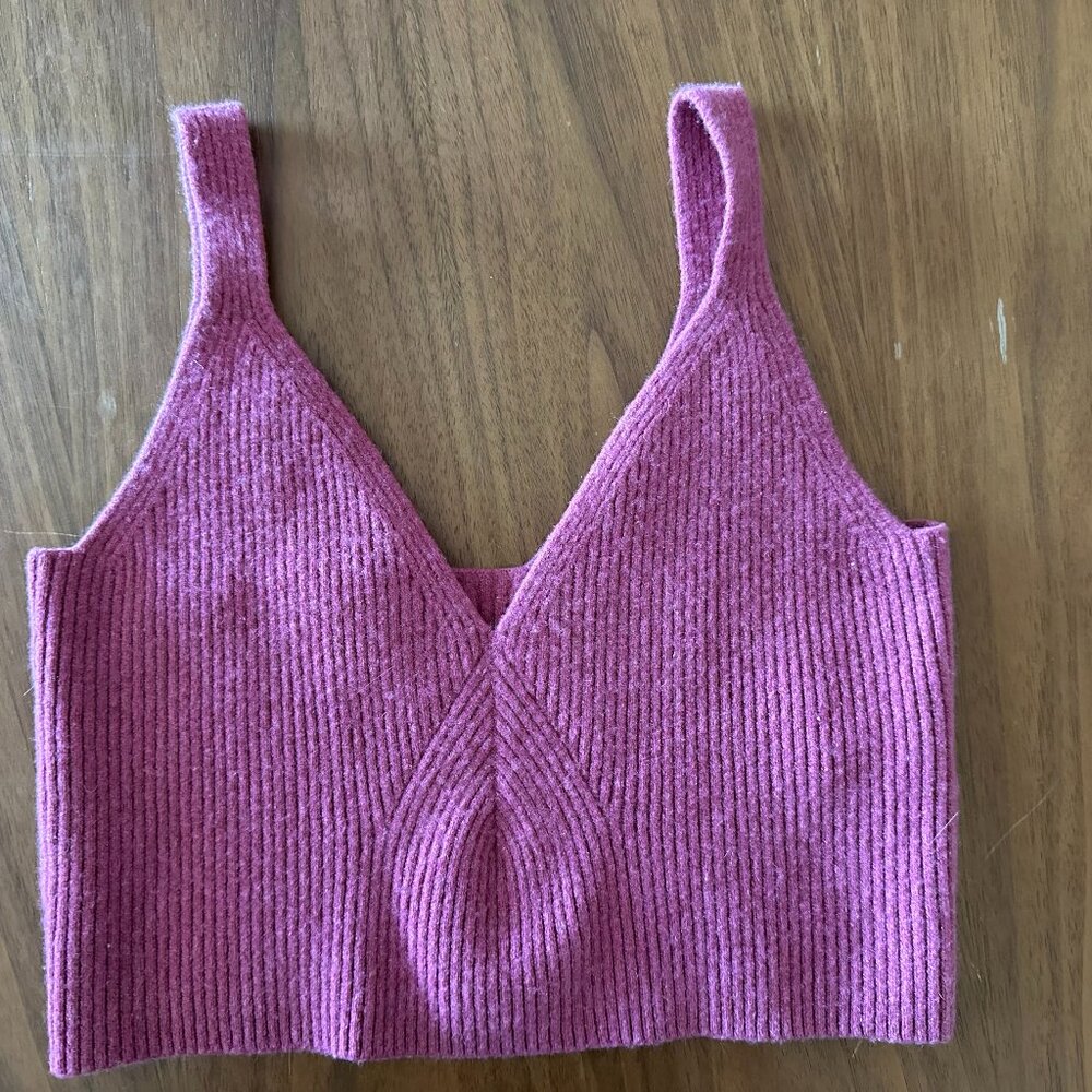 Pink Cashmere J.Crew Crop top